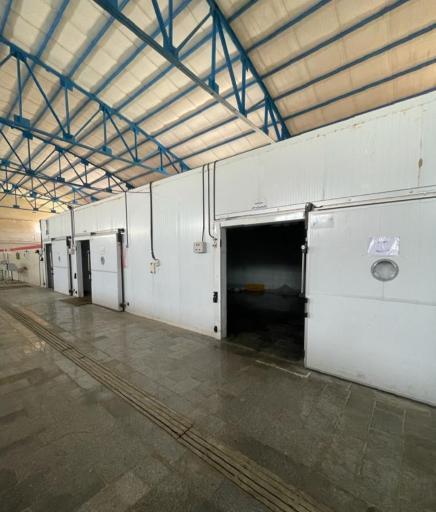 عکس بسته بندی گوشت جعفری 