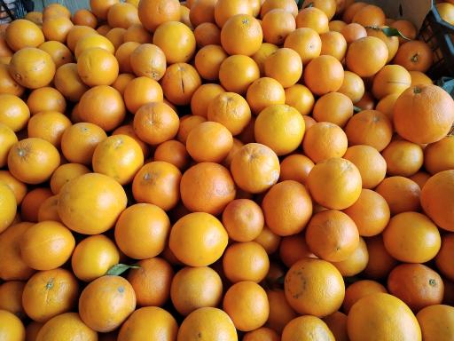 عکس میوه فروشی محمودی