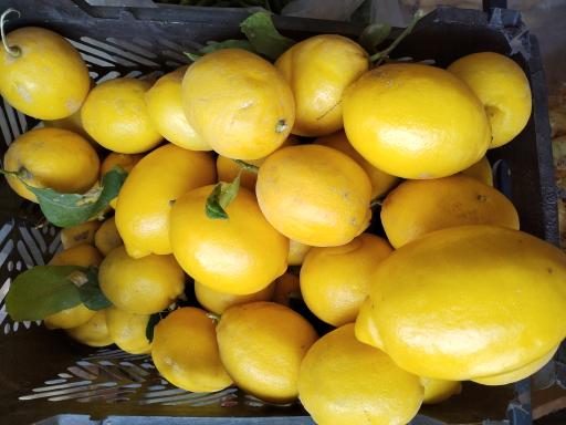 عکس میوه فروشی محمودی