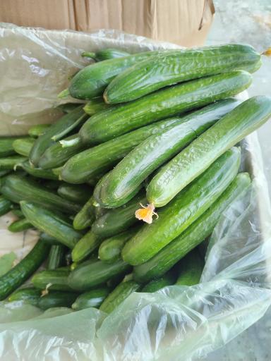 عکس میوه فروشی محمودی