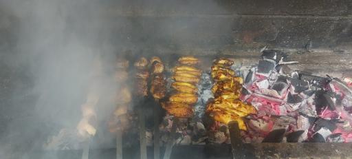 عکس جگرکی بامشاد