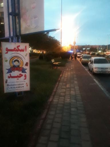 عکس اسکمو وحید