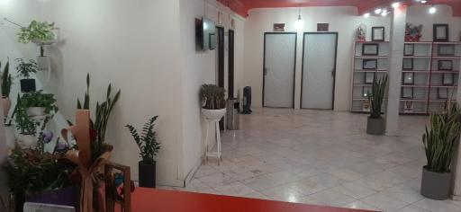 عکس مطب زیبایی غزل