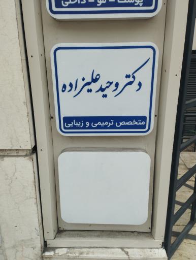 عکس دکتر وحید علیزاده
