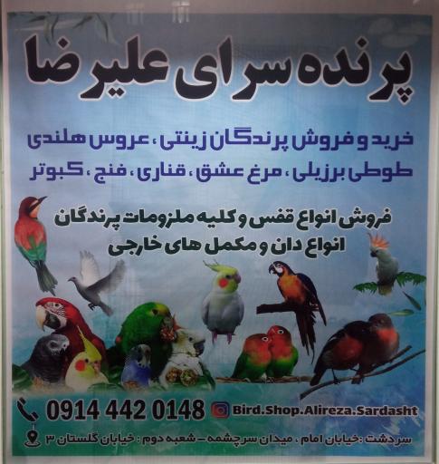 عکس پرنده فروشی علیرضا