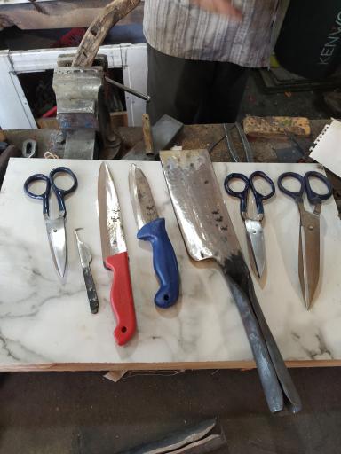 عکس چاقوسازی رخش