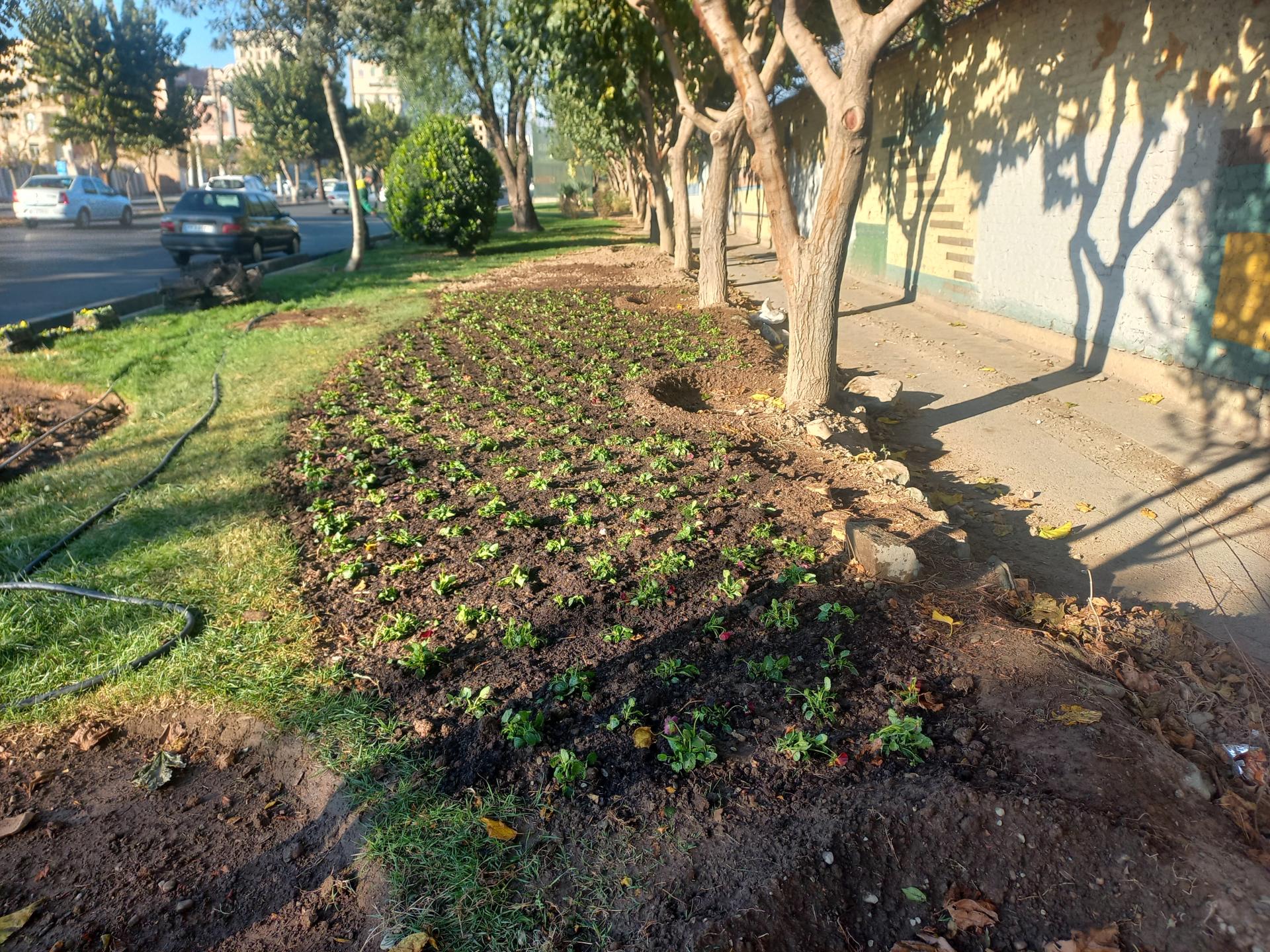 عکس فضای سبز حاشیه نیروگاه