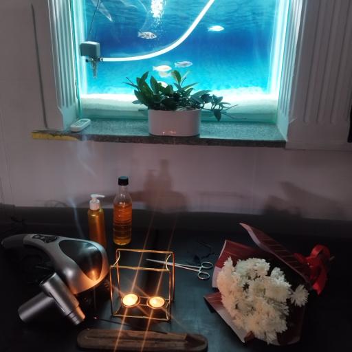 باشگاه خصوصی بانوان ارغوان فیت