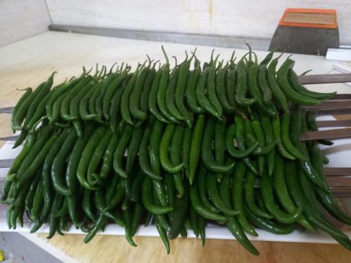 عکس رستوران بانی چاو