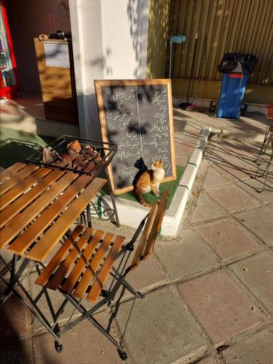 عکس فیلی کافه