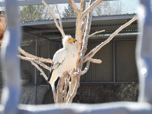 عکس کلینیک تخصصی حیات وحش پردیسان