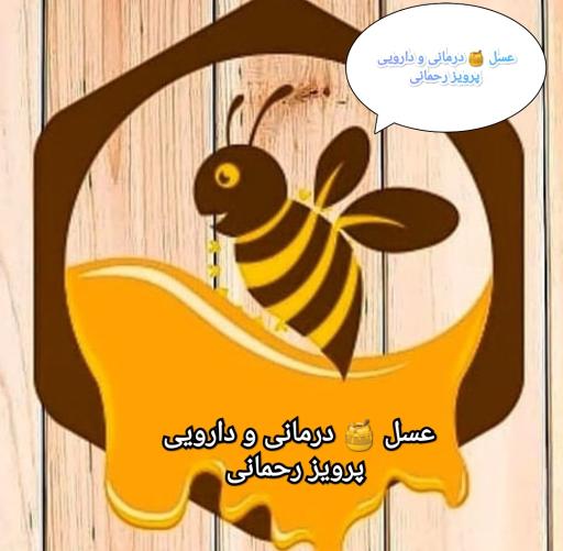 عسل درمانی و دارویی پرویز رحمانی