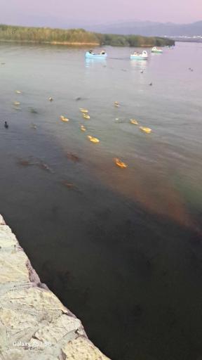 عکس اسکله قایق سواری زریبار