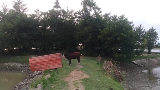 عکس دریاچه آببندان حربده شمالی 