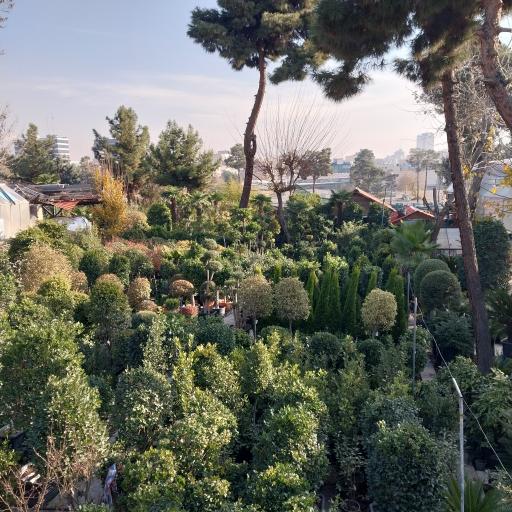 باغ گل رضوان