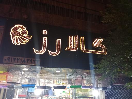عکس گالا رز