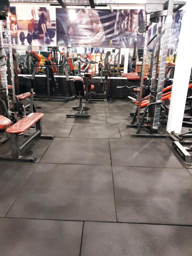 باشگاه بدنسازی کام فیت