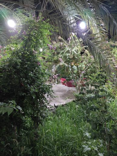 عکس کافی شاپ و باغ رستوران مهداب