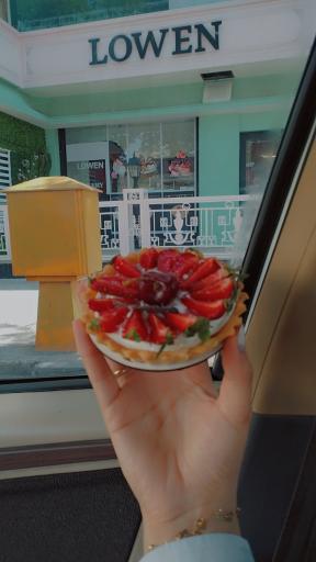 عکس قنادی لُوِن