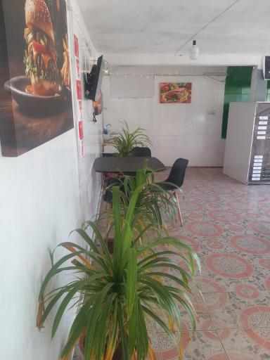 عکس فست فود الماس