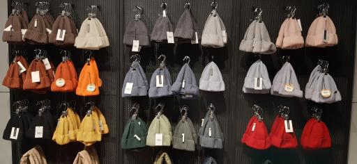 عکس سله بن شریعتی 