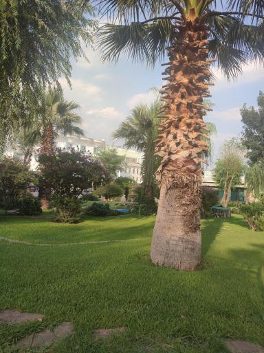 هتل ارم تهران