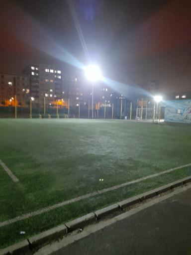 زمین چمن فلاحتی