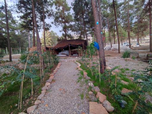 عکس مجموعه تفریحی توریستی دایه