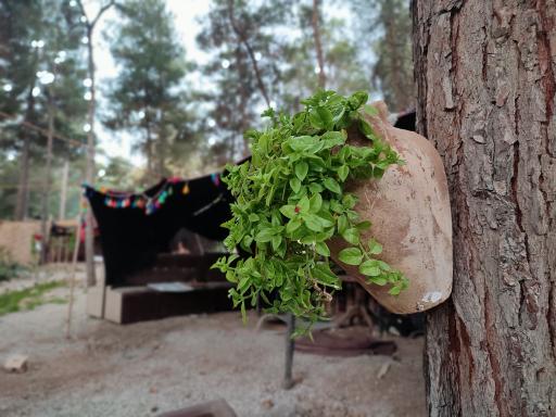 عکس مجموعه تفریحی توریستی دایه