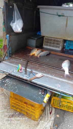 عکس جمعه بازار