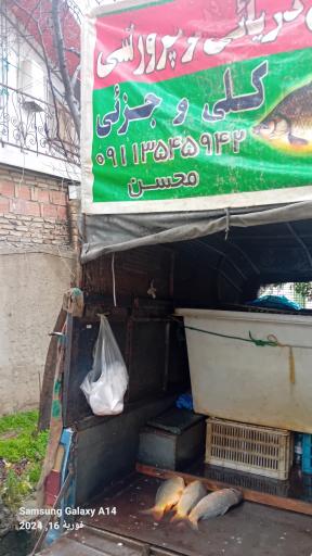 عکس جمعه بازار