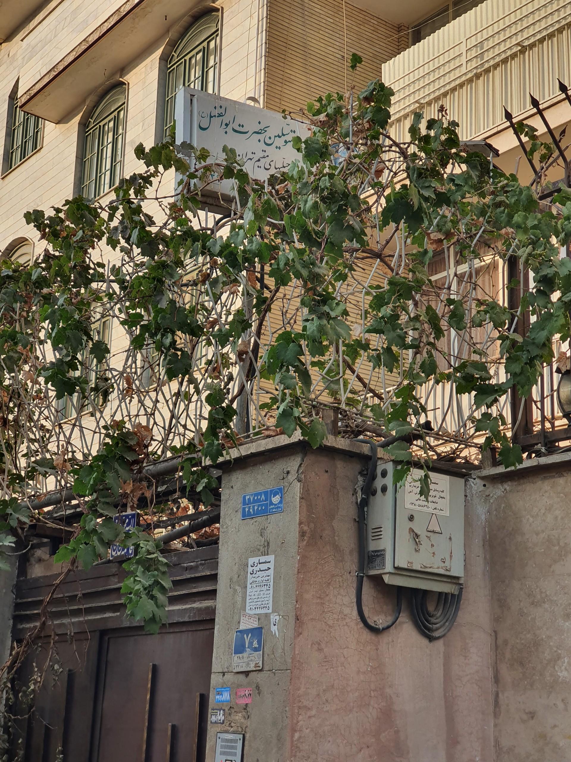 عکس هیئت جبلی های مقیم تهران 