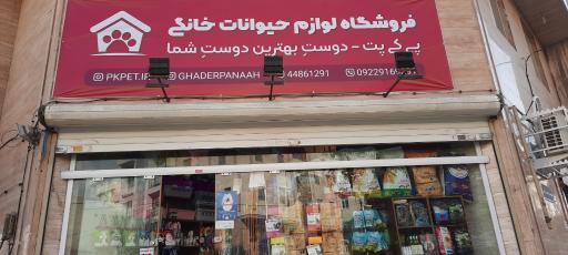 عکس پی کی پت