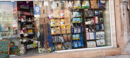 عکس پی کی پت