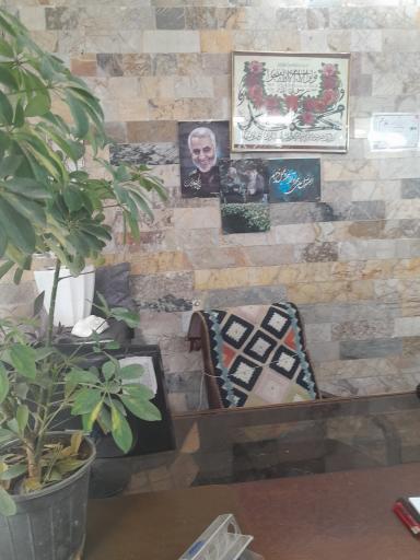 عکس مشاور املاک دامنجانی 