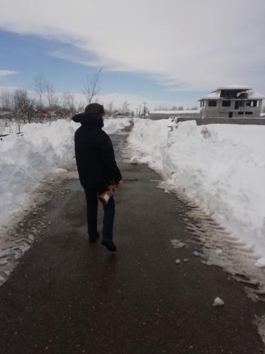 عکس سرشکه