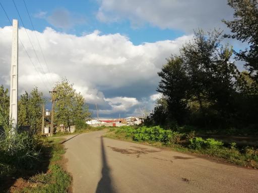 عکس سرشکه