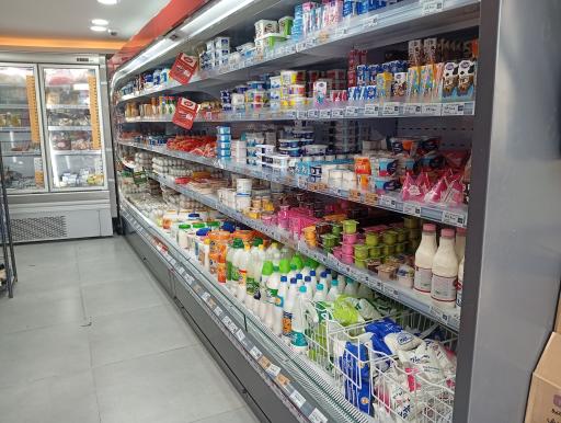فروشگاه افق کوروش 
