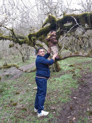 عکس پارک جنگلی محمودآباد