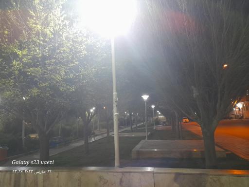 بوستان نارون