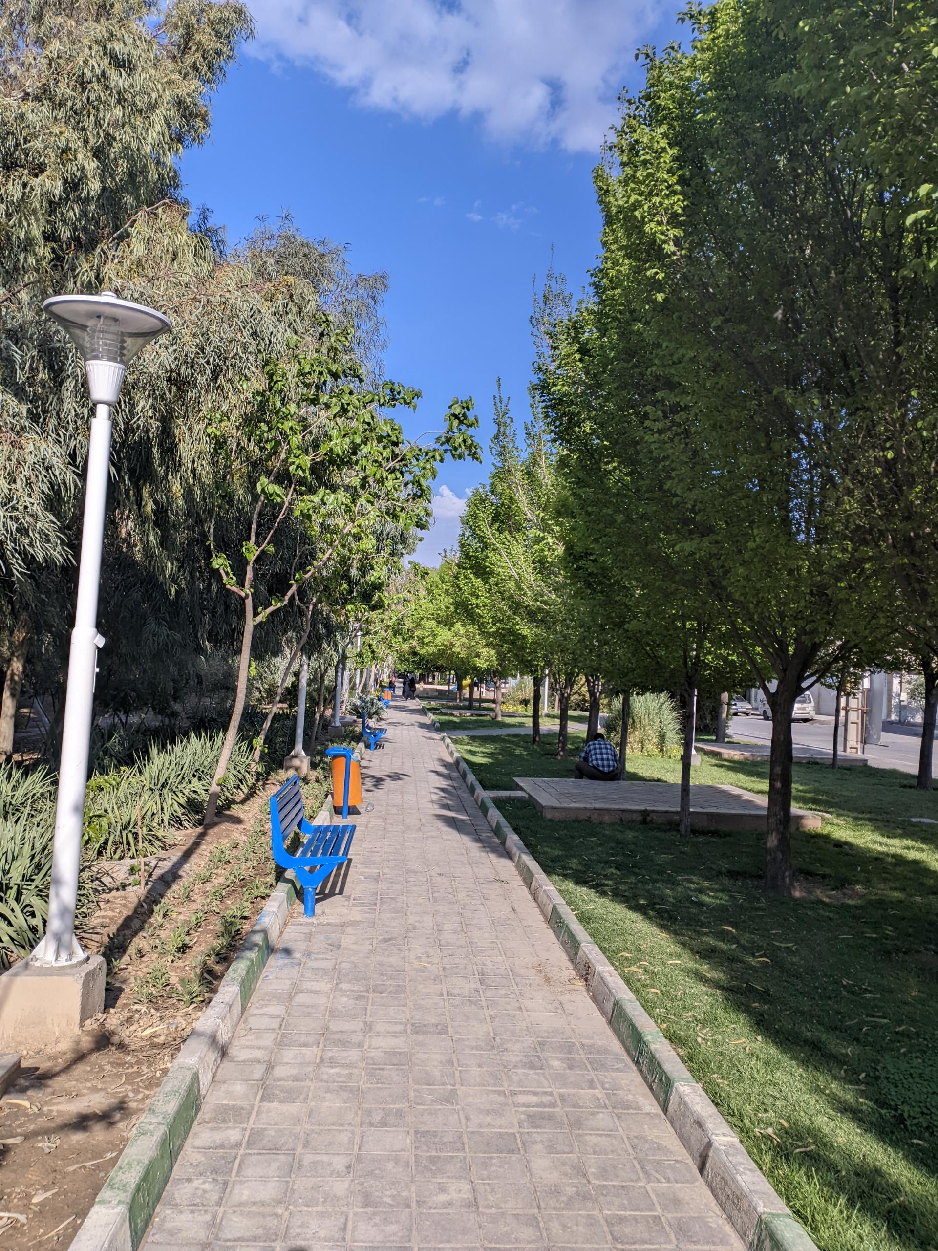 عکس بوستان نارون