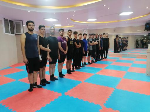 عکس باشگاه سوین