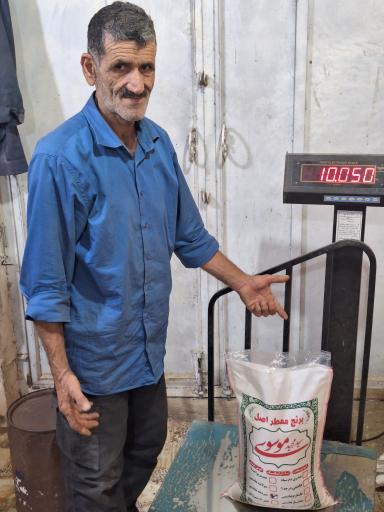 عکس برنج اصل سید مجید موسوی