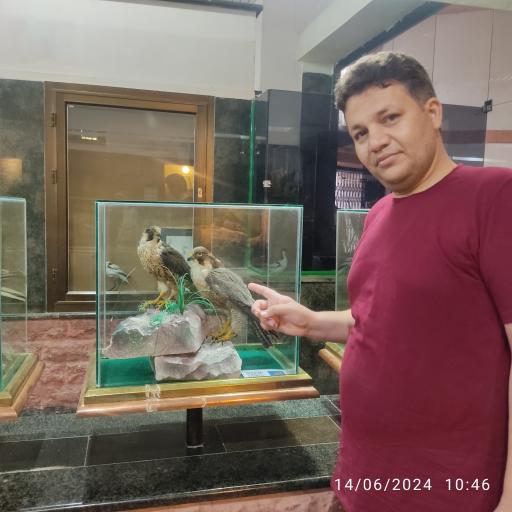 عکس موزه حیات وحش پارک ملی گلستان