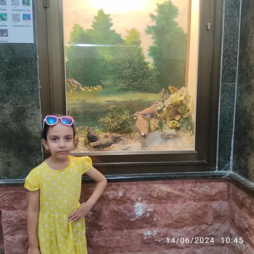 عکس موزه حیات وحش پارک ملی گلستان