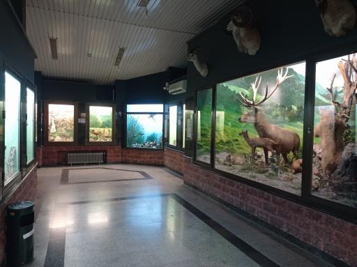 عکس موزه حیات وحش پارک ملی گلستان