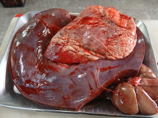 عکس جگرکی سعید