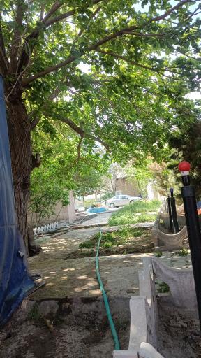 عکس رستوران و کافه سنتی شبستان