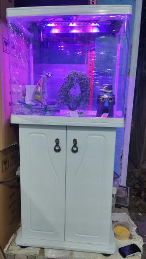 عکس اکواریوم سیلور