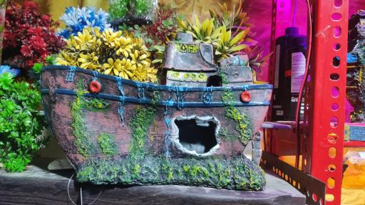 عکس اکواریوم سیلور